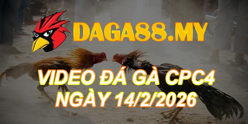 VIDEO GÀ CPC4 NGÀY 14/2/2026