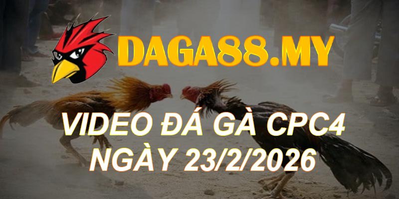 VIDEO GÀ CPC4 NGÀY 23/2/2026