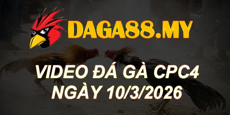VIDEO GÀ CPC4 NGÀY 10/3/2026
