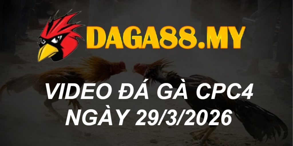 VIDEO GÀ CPC4 NGÀY 29/3/2026
