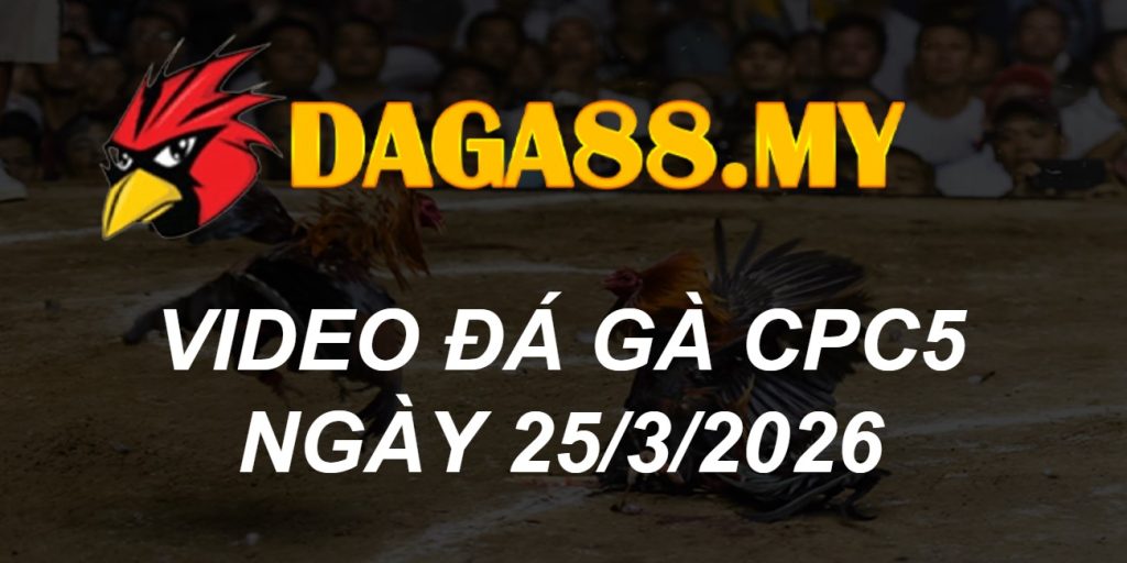 VIDEO GÀ CPC5 NGÀY 25/3/2026