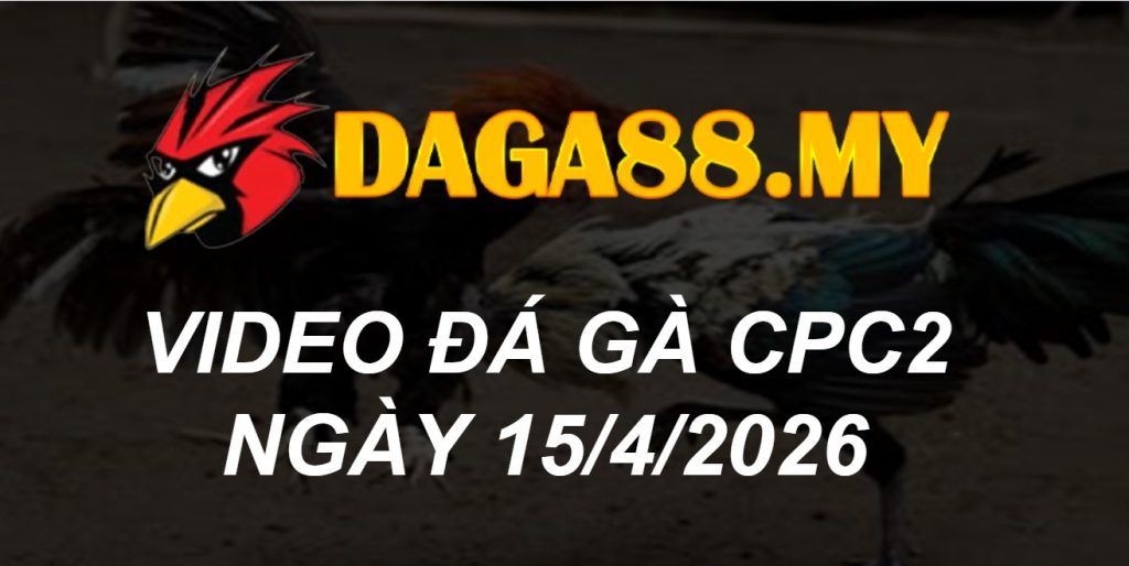 VIDEO GÀ CPC2 NGÀY 15/4/2026