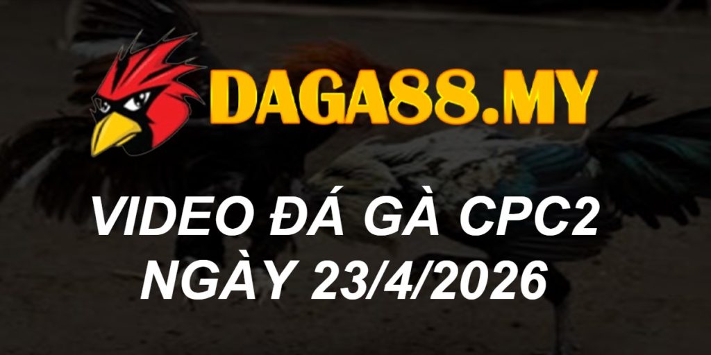 Video gà Video CPC2 ngày 23/04/2026