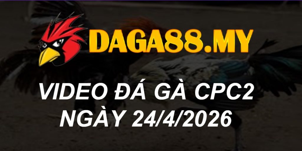 Video gà Video CPC2 ngày 24/04/2026