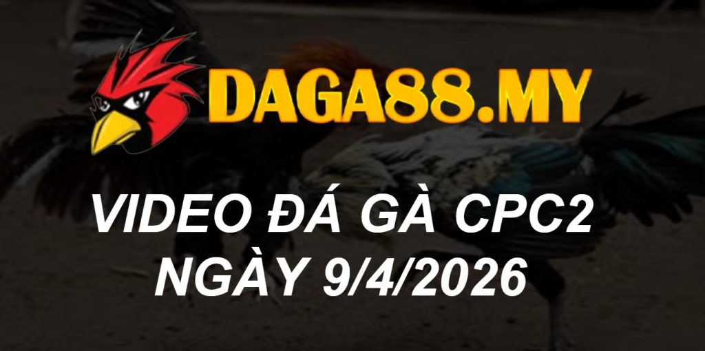 VIDEO GÀ CPC2 NGÀY 9/4/2026