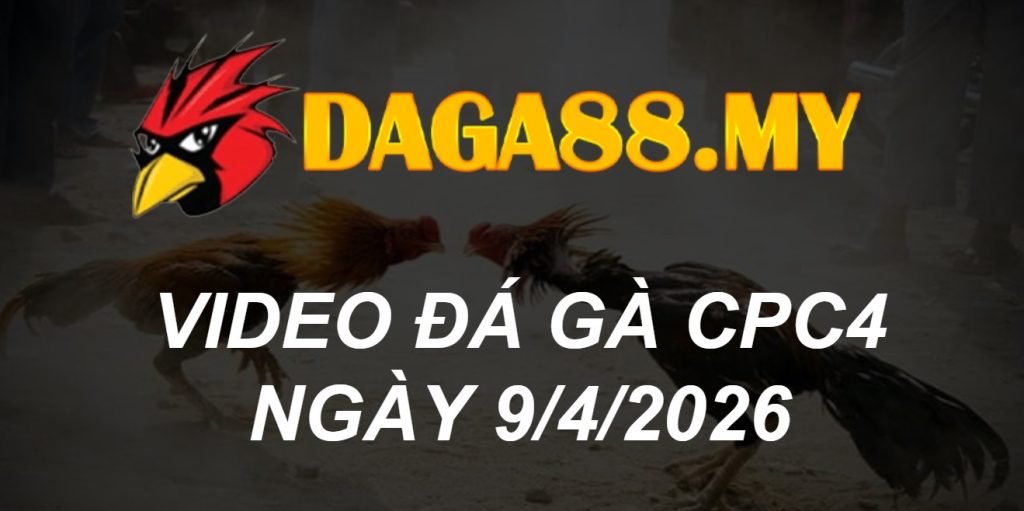 VIDEO GÀ CPC4 NGÀY 9/4/2026