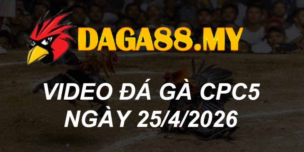 Video gà CPC5 ngày 25/04/2026